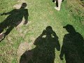 IMG35